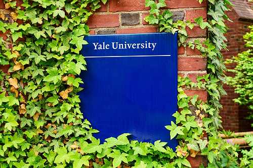 Yale introduces course on Beyoncé's cultural impact